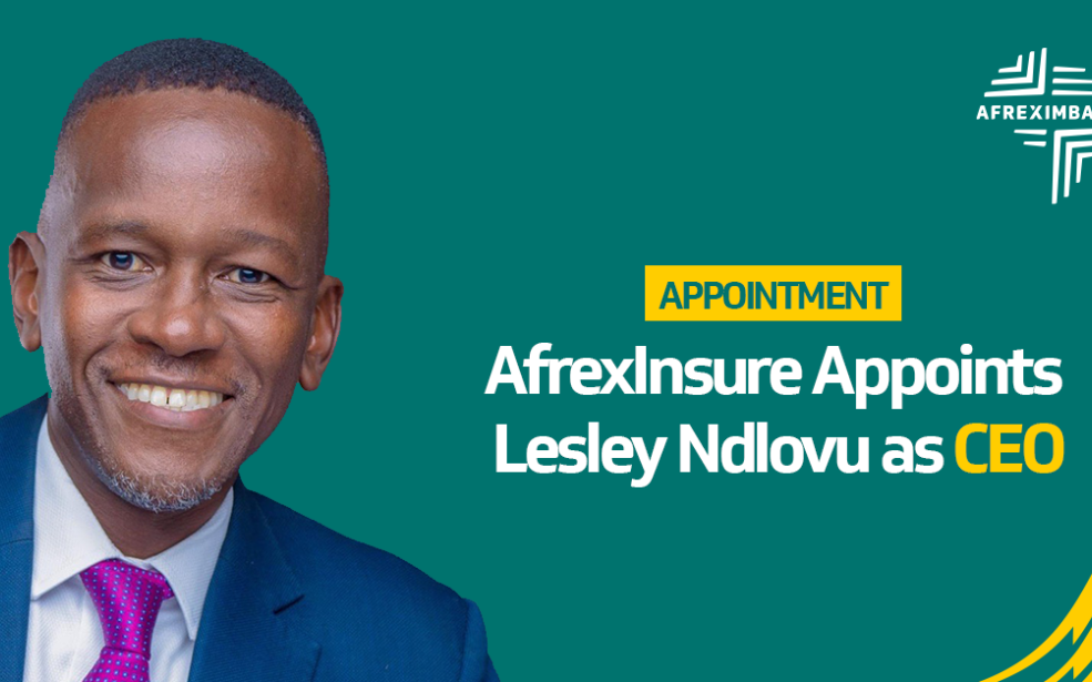 Assurance : AfrexInsure mise sur Lesley Ndlovu pour accélérer sa montée en puissance