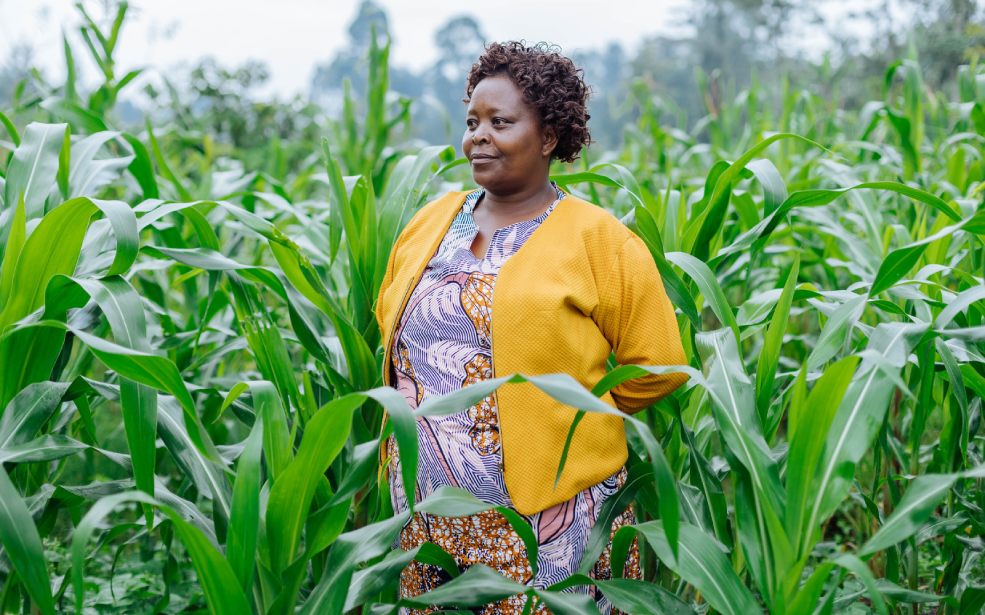 Afrique : Proparco mise 12 millions de dollars sur les start-ups agricoles face au défi climatique