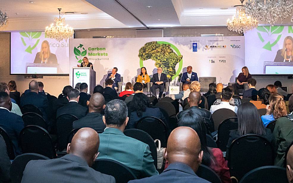 Marchés du carbone : l’Afrique accélère pour attirer davantage de financements climatiques
