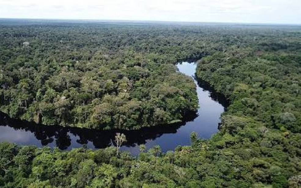 Le capital naturel au cœur des politiques publiques : la BAD débloque 4,23 millions de dollars pour 13 pays africains