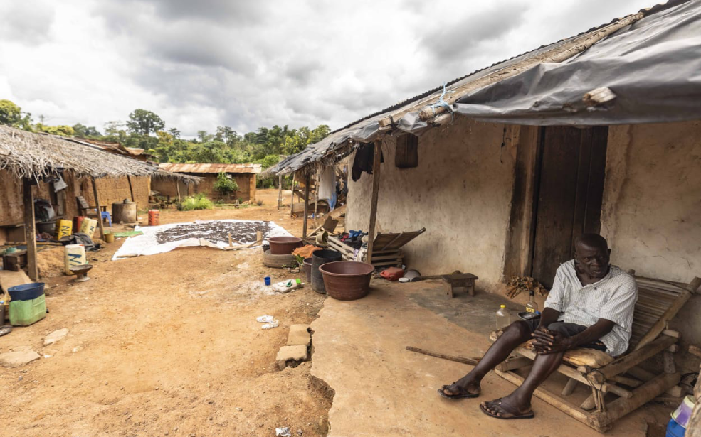 Côte d'Ivoire / Cacao : Quand les chiffres officiels se heurtent à la réalité des producteurs