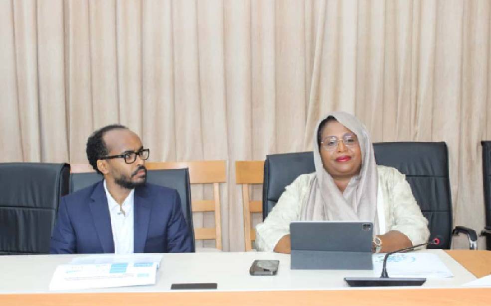 Startup Act Djibouti : vers un cadre légal pour booster l’entrepreneuriat numérique
