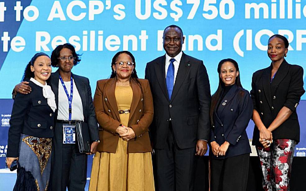 Finance climatique : la DBSA injecte 750 millions $ dans le fonds climat de l’AFC pour renforcer la résilience des infrastructures