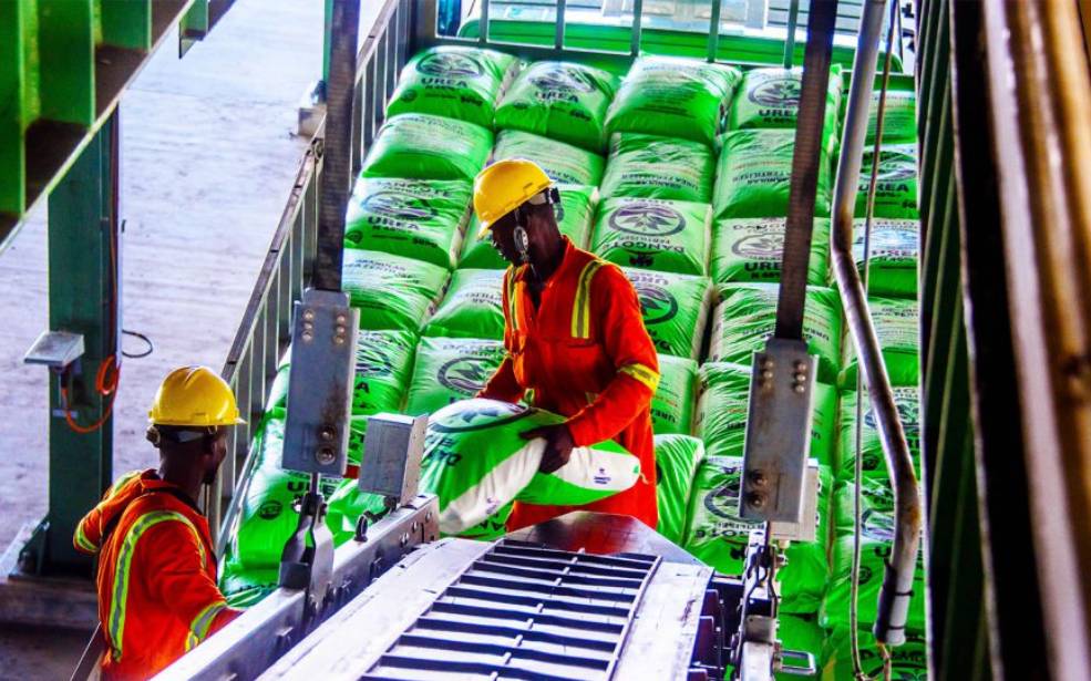 Engrais : Aliko Dangote lance un pari audacieux pour libérer l’Afrique de sa dépendance aux importations