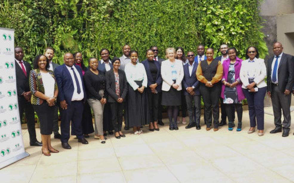 Finance durable : Le secteur financier africain valide la taxonomie du continent