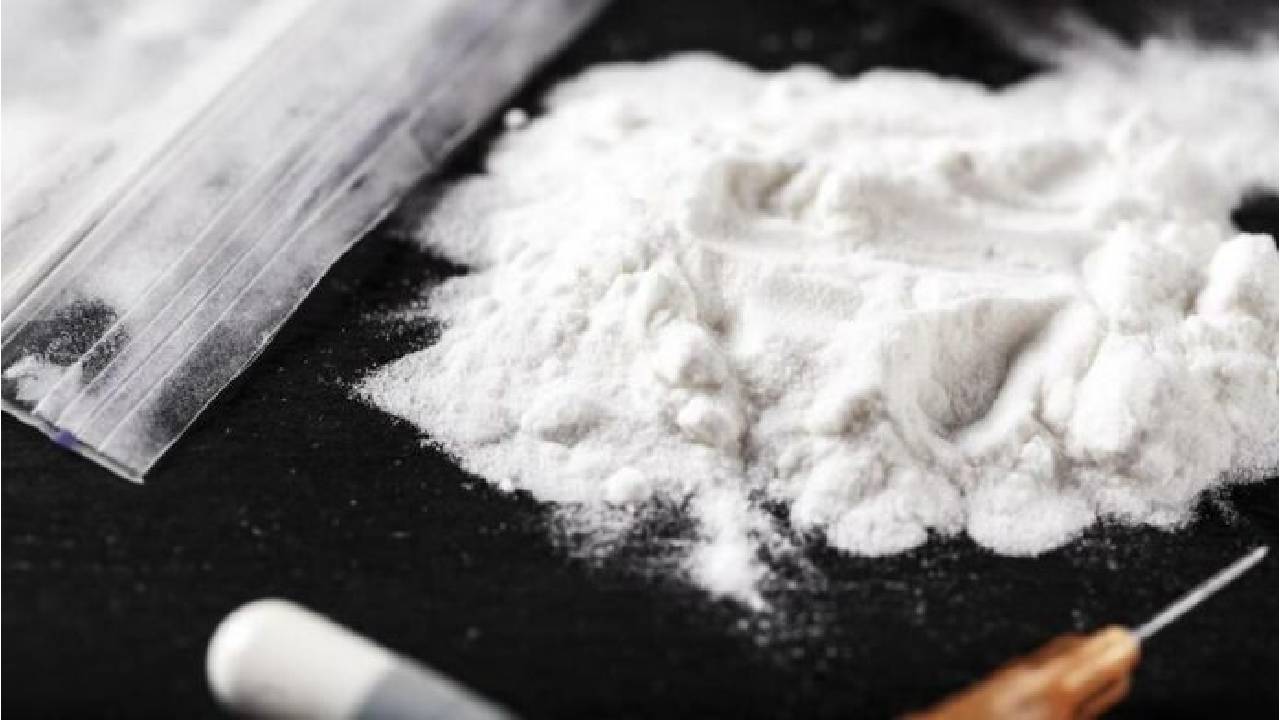 Cocaïne : vers une économie parallèle mondiale hors de contrôle selon l'ONUDC