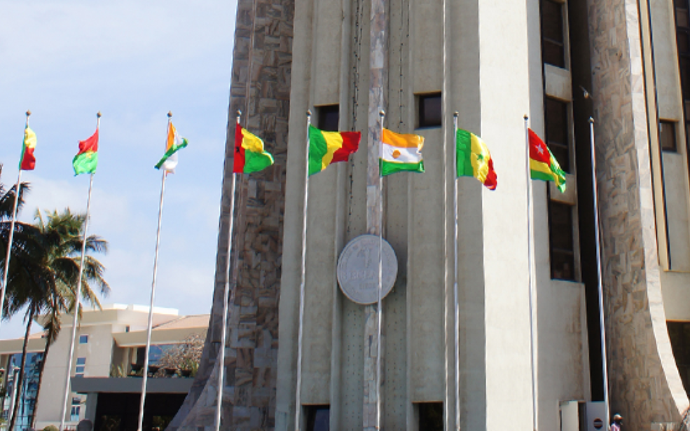 FCFA, diaspora, stratégie : La BCEAO entre stabilité et rattrapage du Nigéria