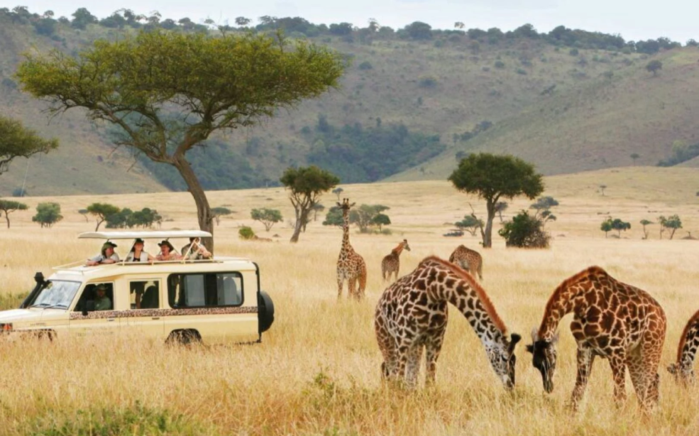 Tourisme en Tanzanie : Un boom en trompe-l’œil ou la montée en puissance d’un modèle économique alternatif ?