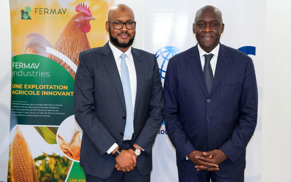Guinée : SONOCO et l’IFC lancent la première ferme avicole intégrée pour booster l’emploi et la croissance locale