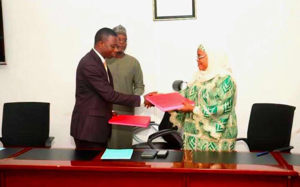 Niger : Plus de 224,2 millions de dollars pour une centrale solaire de 200 MWc, avec batteries de stockage