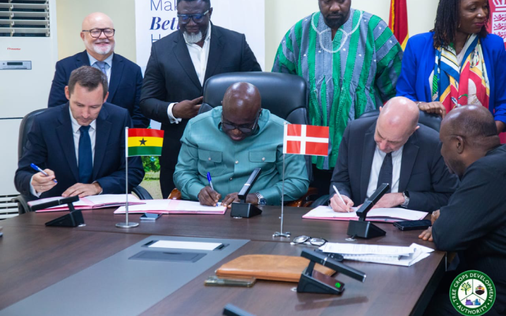 Ghana : 90 millions de dollars pour transformer l’industrie du karité et créer un hub industriel durable