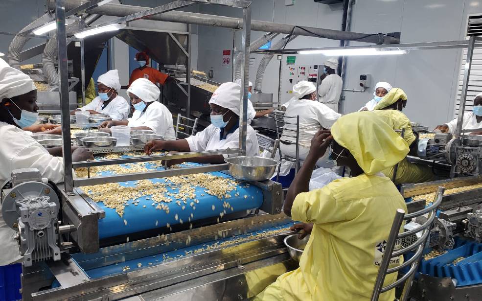 Côte d’Ivoire : GuarantCo conclu une transaction de 20 millions de dollars avec Robust International pour accélérer la transformation du cajou