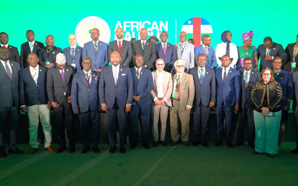 Economie : Le communiqué du Caucus africain rassure-t-il vraiment les marchés émergents ?