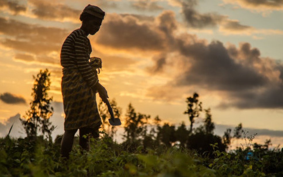 BAD : Un don de 6 millions $ pour le renforcement des capacités et le financement des risques de catastrophes en Afrique pour la période 2025-2026