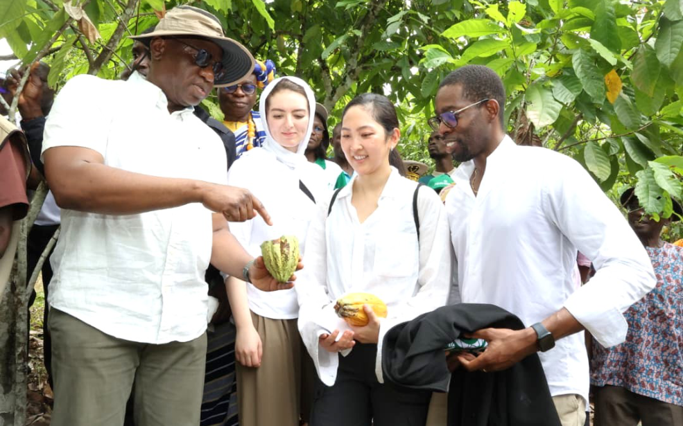 Côte d’Ivoire : 50 millions de dollars du Fonds vert pour le climat pour accélérer la transformation agricole face au choc climatique