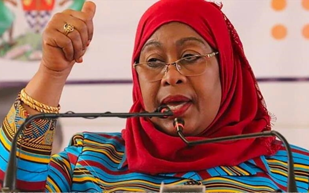 Tanzanie : 15 métiers interdits aux étrangers, tensions en vue