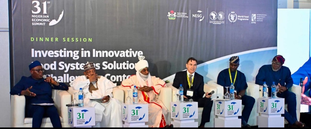 La BAD, le PAM et l’IFPRI lancent un rapport sur les investissements innovants dans les systèmes alimentaires au nord du Nigéria