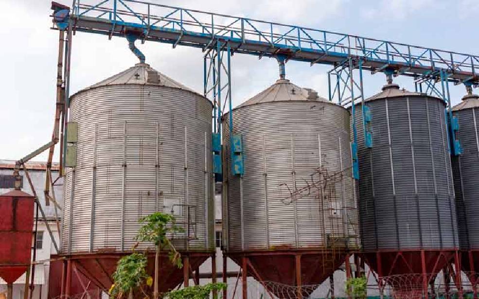 BAD/Mozambique : Une subvention de 22,8 millions $ pour stimuler la production de riz et renforcer la résilience climatique