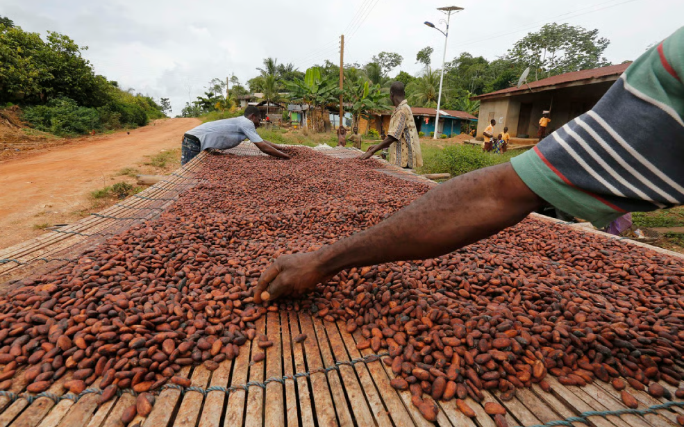 Côte d’Ivoire : Dix ans de transformation, mais qui contrôle encore la valeur du chocolat mondial ?