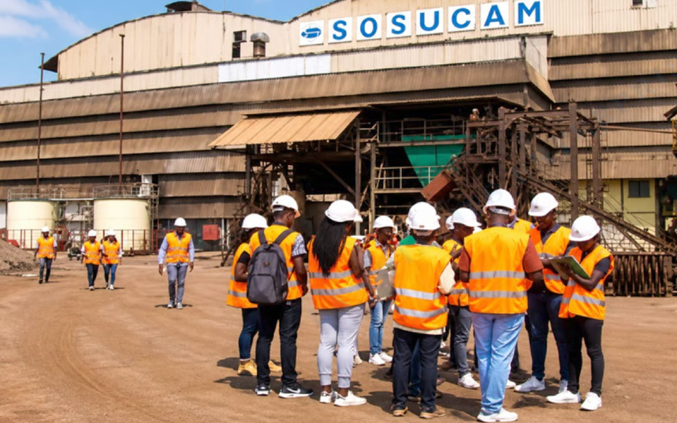 Sosucam : Le sucre camerounais change de mains, un consortium local promet 210 millions d’euros pour relancer la filière