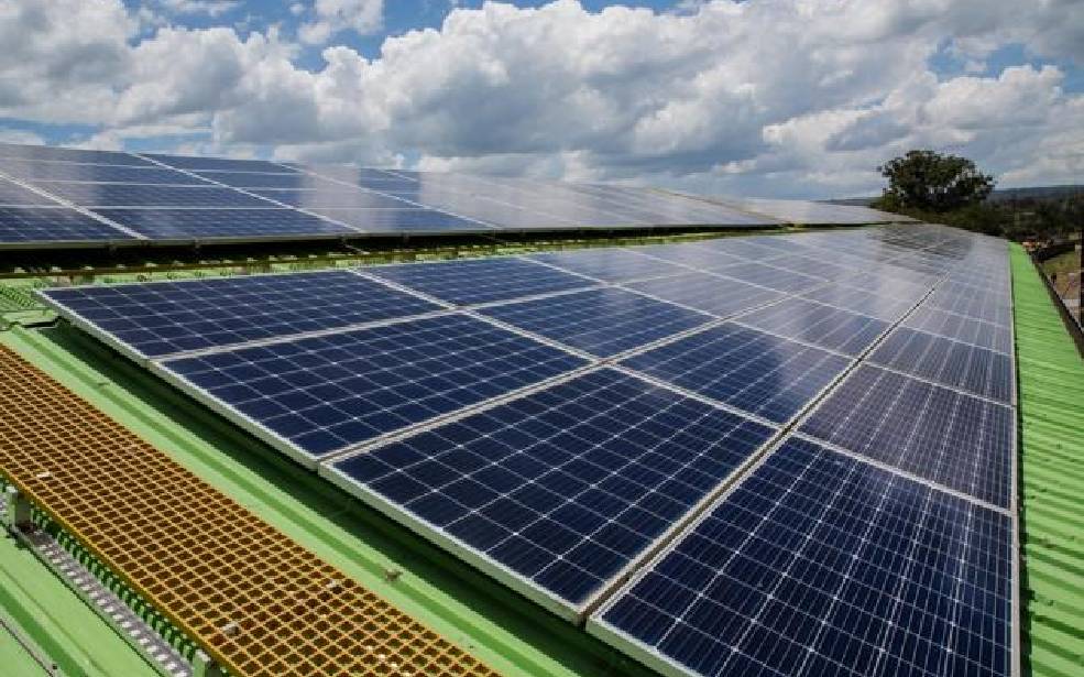 Afrique du Sud : McGill & Partners et GIB lancent une solution d'assurance pour les énergies renouvelables