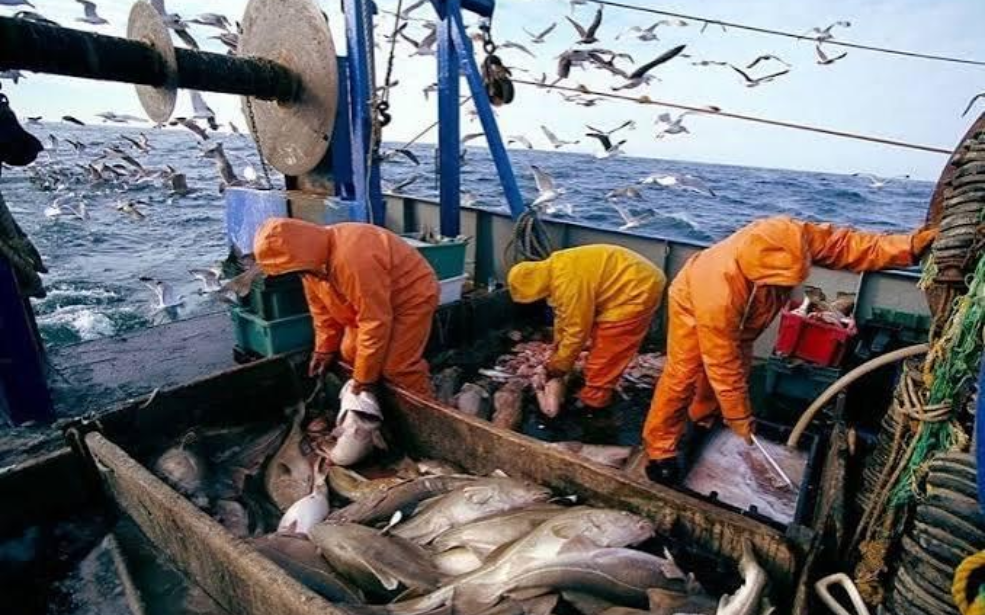 Ressources halieutiques africaines : Moscou avance ses chalutiers sous couvert de coopération scientifique