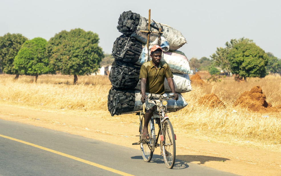 Malawi : Quand la fin des exportations brutes devient levier d’industrialisation