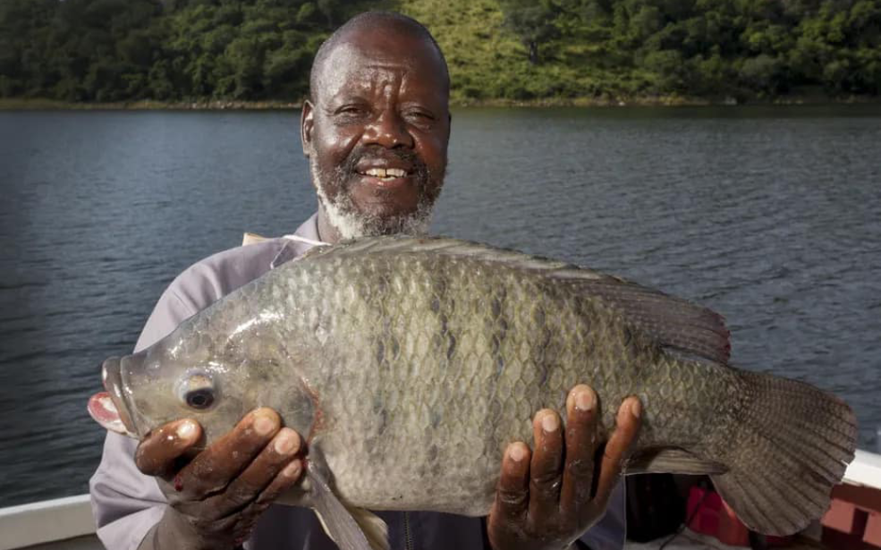 Pêche et aquaculture : La SADC prépare sa riposte stratégique face aux nouvelles règles du jeu mondial