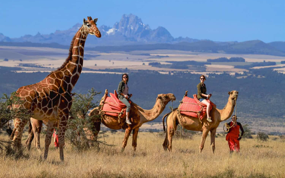 Kenya : Les revenus touristiques dépassent les 3,8 milliards de dollars en 2025