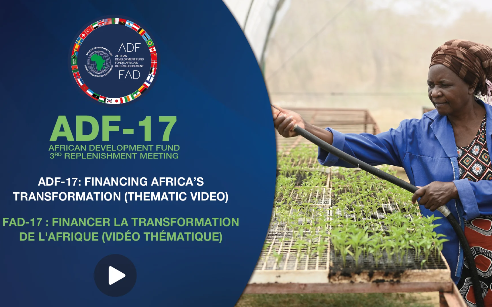 Afrique / Infrastructures : Le FAD mobilise 11 milliards de dollars pour transformer le financement du développement