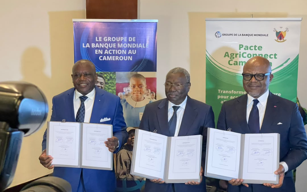 Cameroun : AgriConnect vise 1,87 milliard de dollars pour réduire les importations alimentaires