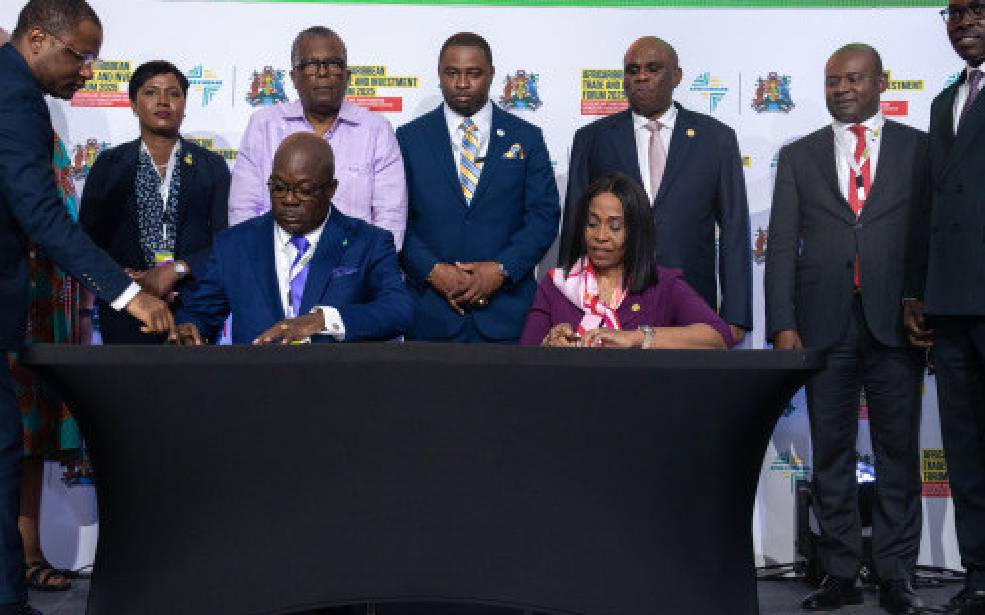 Bahamas Striping Group : Afreximbank octroie 100 millions $ pour la modernisation des infrastructures