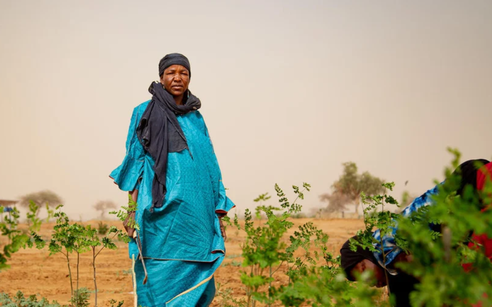 Baisse annoncée de l’aide publique au développement en 2026 : Quels pays africains sont les plus menacés ?