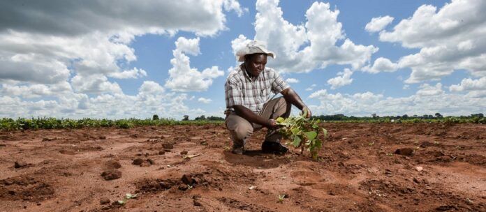 L'Afrique fait face à une crise du financement en matière d'adaptation au climat