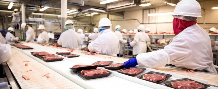 transforming_zambias_agricultural_landscape Zambie : Le géant de l'agroalimentaire Zambeef s’industrialise pour nourrir toute l’Afrique australe
