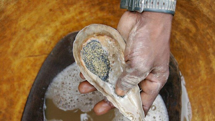 Mali – Barrick Mining : Réouverture sous contrôle judiciaire, tensions toujours vives